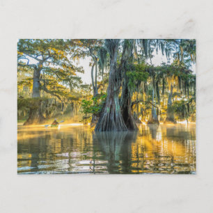 Postal Parque estatal Lake Fausse Pointe