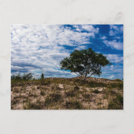 Postal Parque Estatal Ludington, Michigan