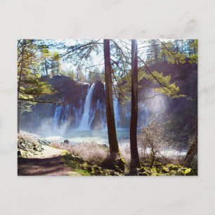 Postal Parque Estatal Memorial McArthur-Burney Falls