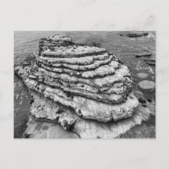 Postal Parque estatal Montaña de Oro California (Anverso)