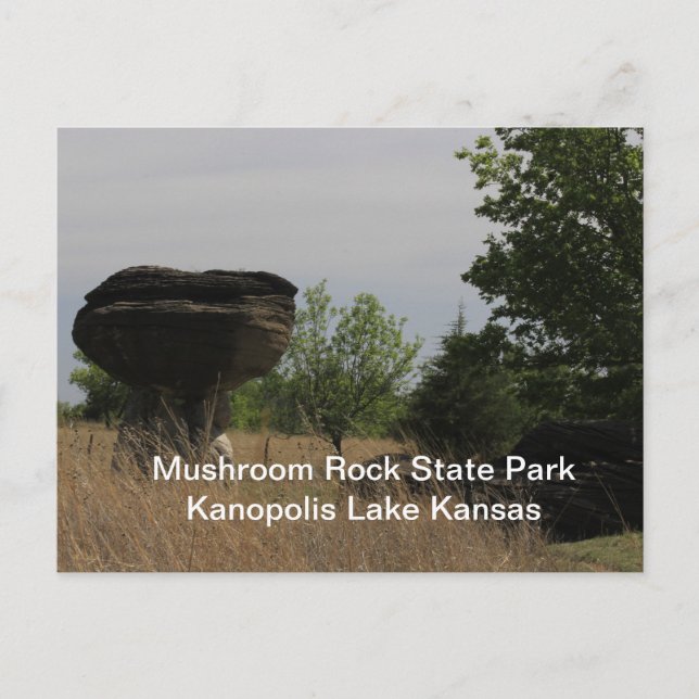 Postal Parque Estatal Mushroom Kanopolis Lake POST CARTA (Anverso)