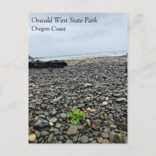 Postal Parque Estatal Oswald West, Costa de Oregón