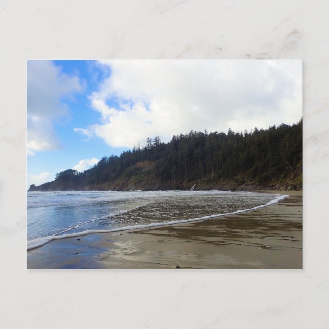 Postal Parque Estatal Oswald West, Costa de Oregón (Anverso)