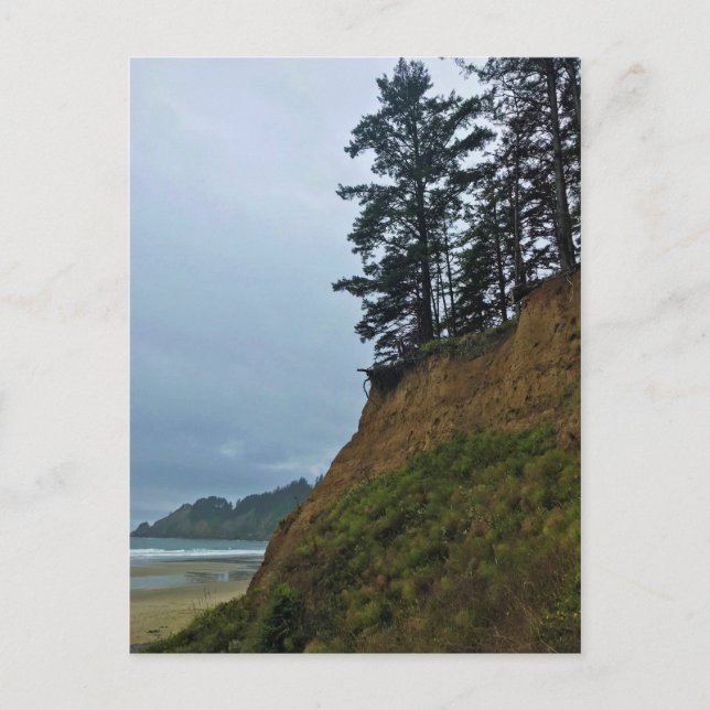 Postal Parque Estatal Oswald West, Costa de Oregón (Anverso)