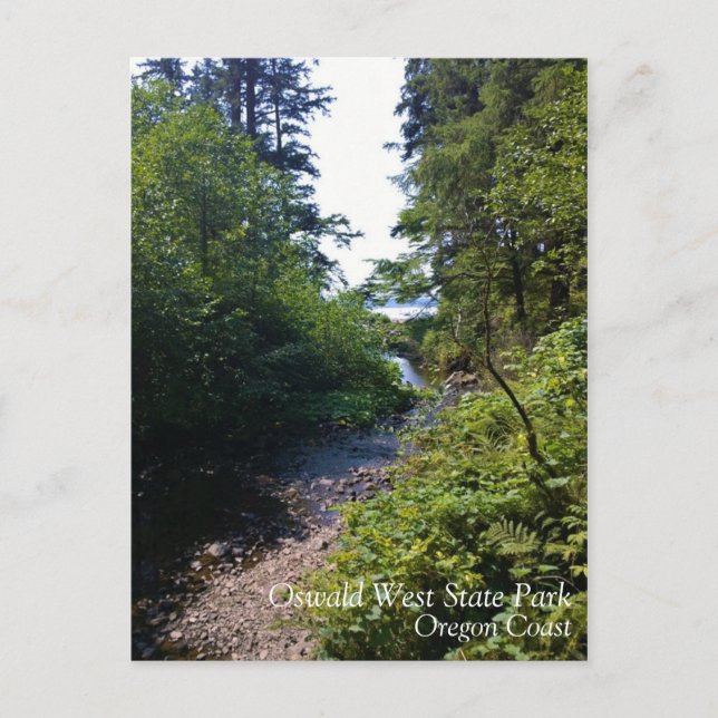 Postal Parque Estatal Oswald West, Costa de Oregón (Anverso)