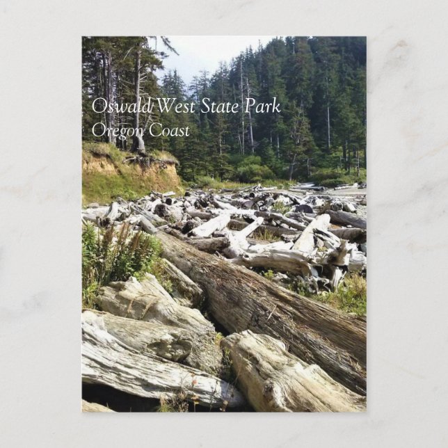 Postal Parque Estatal Oswald West, Costa de Oregón (Anverso)