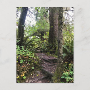 Postal Parque Estatal Oswald West, Costa de Oregón