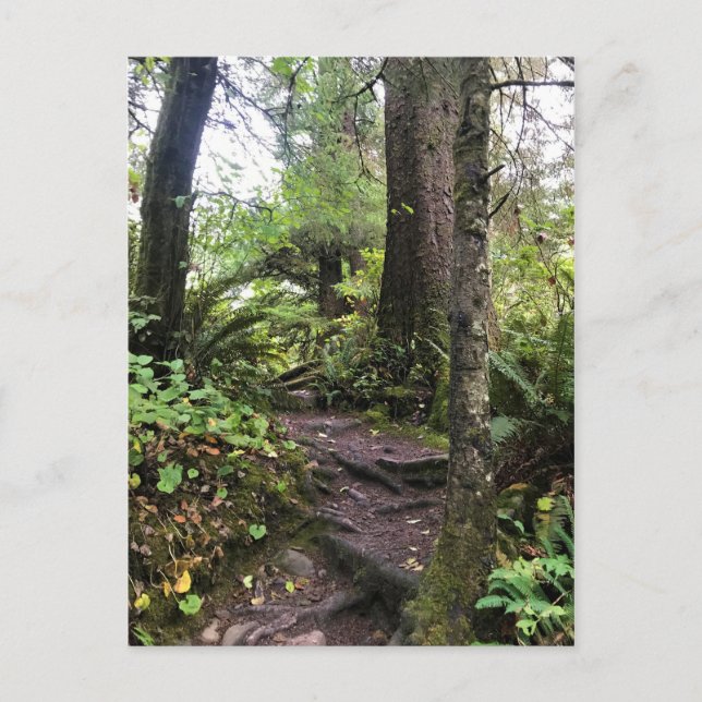 Postal Parque Estatal Oswald West, Costa de Oregón (Anverso)