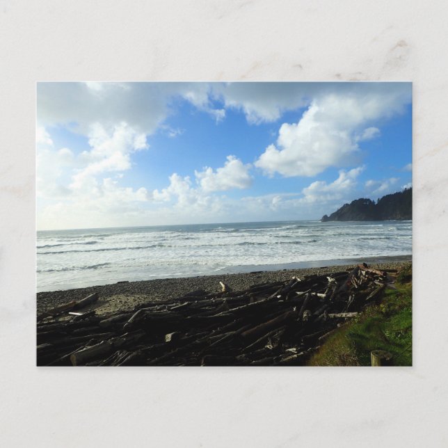 Postal Parque Estatal Oswald West, Costa de Oregón (Anverso)