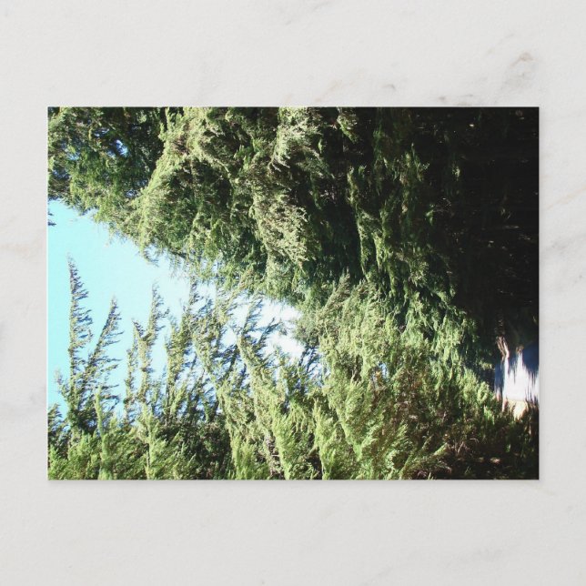 Postal Parque estatal Road Moran (Anverso)