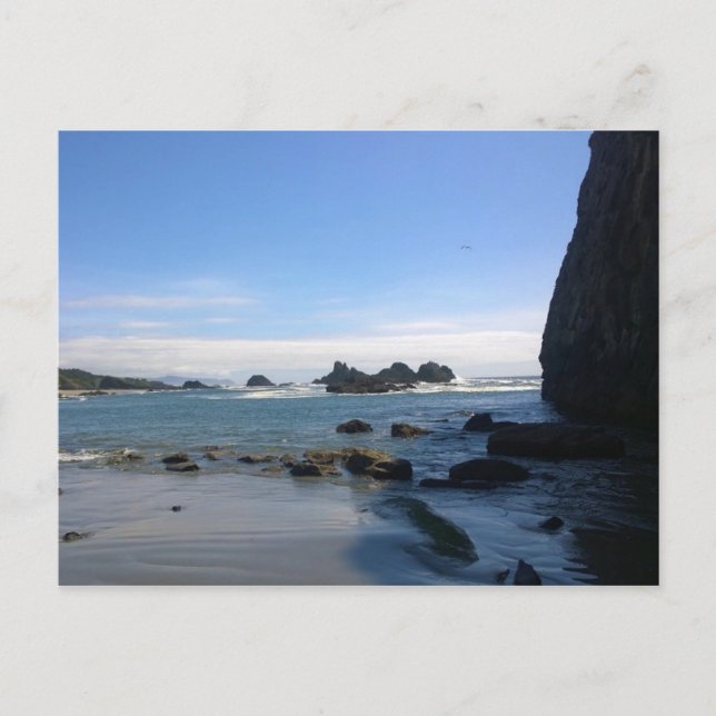 Postal Parque Estatal Seal Rock, OR (Anverso)