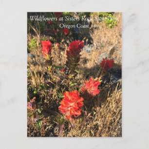 Postal Parque Estatal Sisters Rock, Costa de Oregón