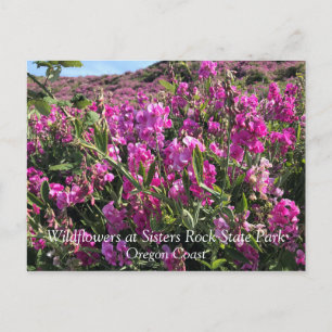 Postal Parque Estatal Sisters Rock, Costa de Oregón