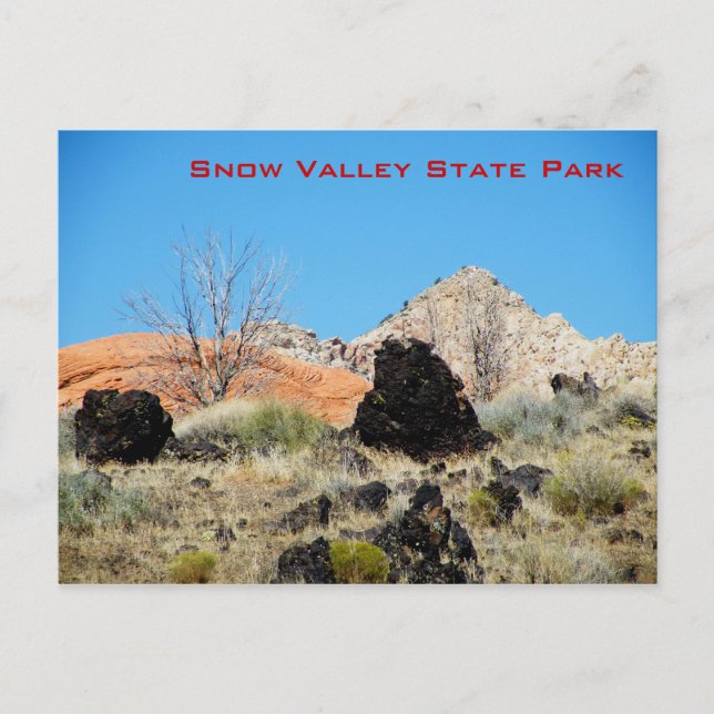 Postal Parque Estatal Snow Valley (Anverso)