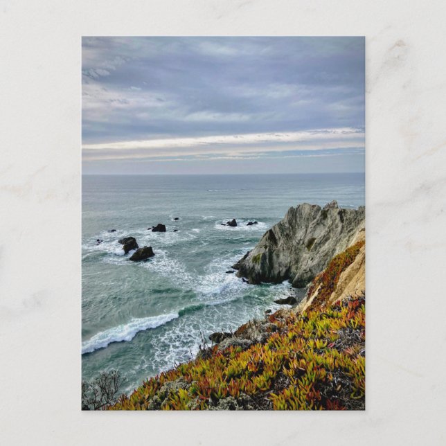 Postal Parque Estatal Sonoma Coast, California (Anverso)