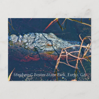 Postal Parque Estatal Stephen C Foster, Gator