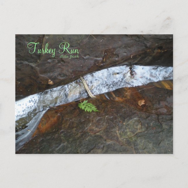 Postal Parque estatal Turquía (Anverso)