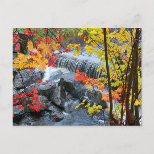 Postal Parque estatal Woodford