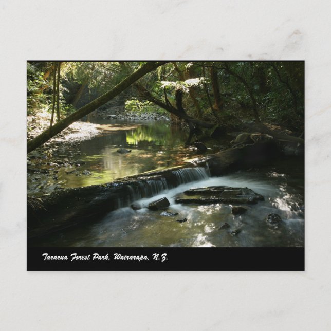Postal Parque Forestal Tararua, Wairarapa, N.Z. (Anverso)