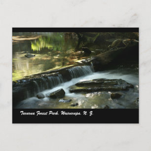 Postal Parque Forestal Tararua, Wairarapa, N. Z.