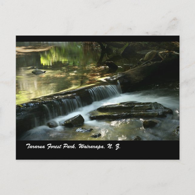 Postal Parque Forestal Tararua, Wairarapa, N. Z. (Anverso)