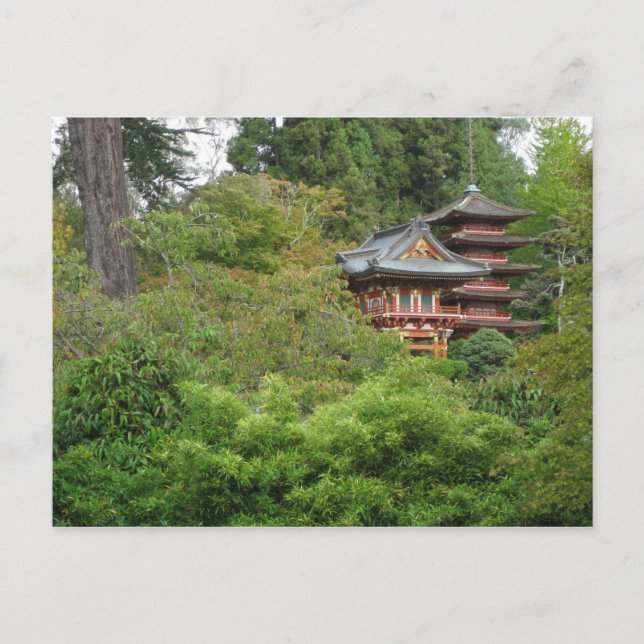 Postal Parque Golden Gate San Francisco (Anverso)