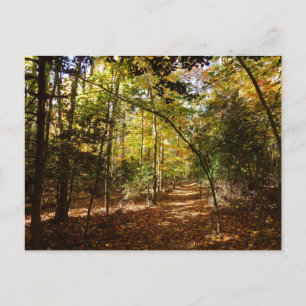 Postal Parque Greenbelt en otoño I paisaje de Maryland