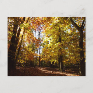 Postal Parque Greenbelt en Otoño II Escena de la Naturale