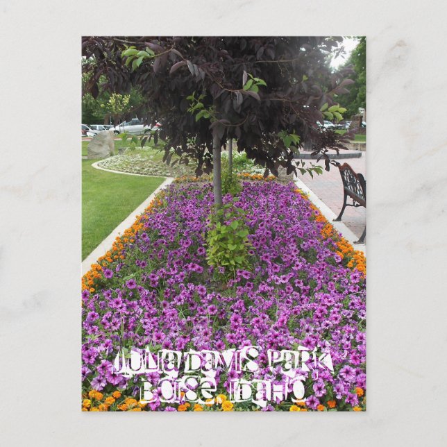 Postal Parque Julia Davis en Boise, Idaho (Anverso)