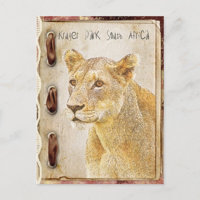 Postal Parque Kruger, Sudáfrica (Anverso)