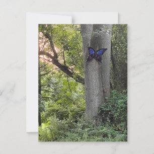 Postal Parque mariposa