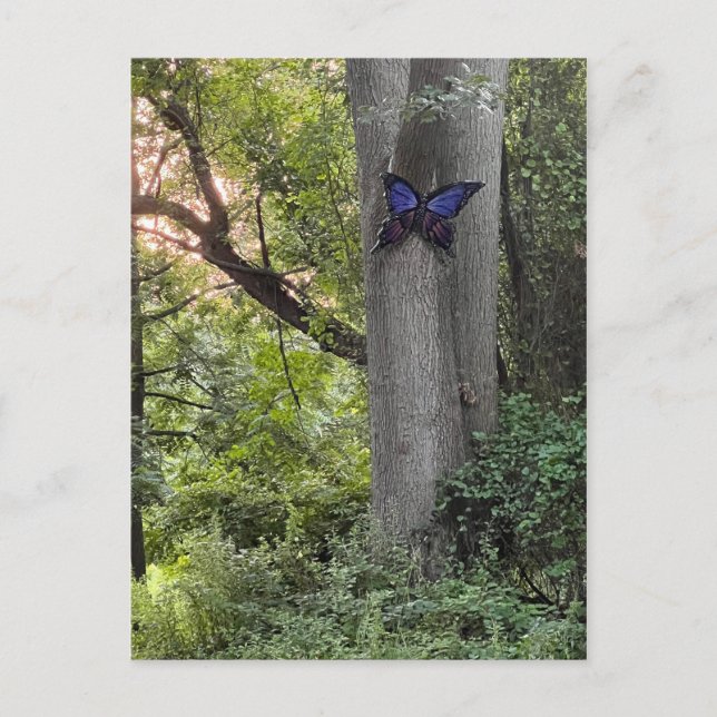Postal Parque mariposa (Anverso)