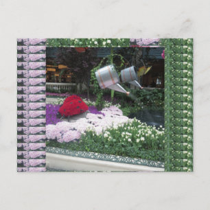 Postal Parque mariposa de Las Vegas LadyBugs