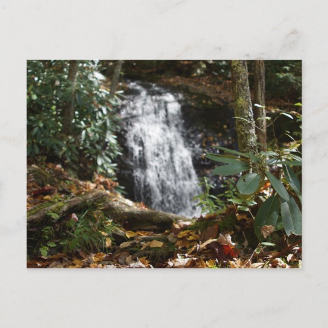 Postal Parque Memorial Bobby McLean, Newland, NC #3 (Anverso)