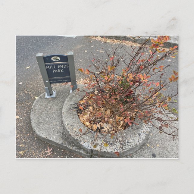 Postal Parque Mill Ends (Anverso)