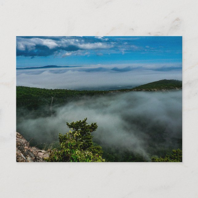 Postal Parque nacional Acadia en verano, Maine (Anverso)