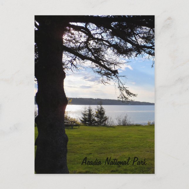 Postal Parque nacional Acadia, Maine (Anverso)