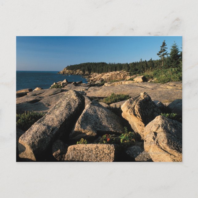 Postal Parque nacional Acadia, Maine 2 (Anverso)