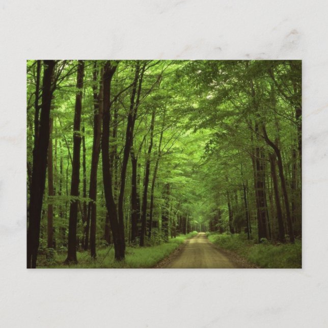 Postal Parque Nacional Allegheny, Pennsylvania (Anverso)