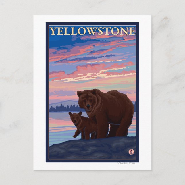 Postal Parque nacional Bear and Cub - Yellowstone (Anverso)