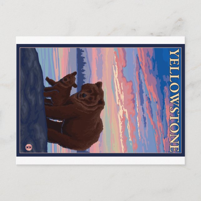Postal Parque nacional Bear and Cub - Yellowstone (Anverso)