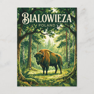 Postal Parque Nacional Bialowieza Polonia