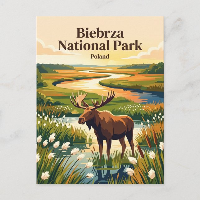 Postal Parque Nacional Biebrza Polonia (Anverso)