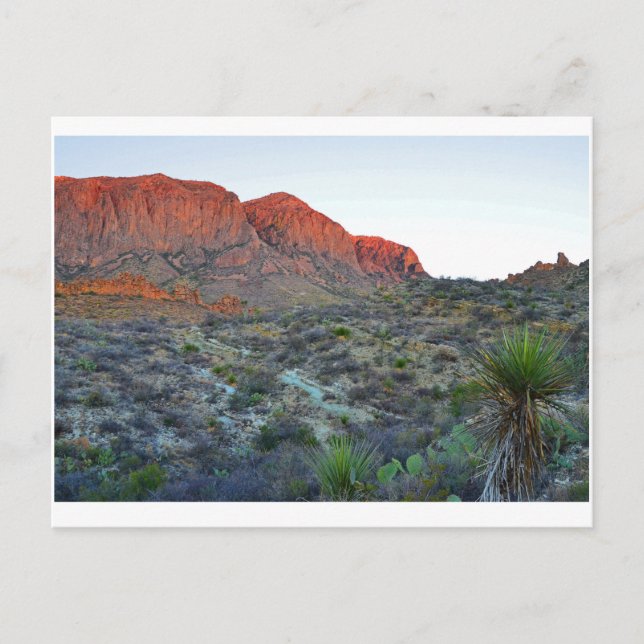 Postal Parque nacional Big Bend (Anverso)