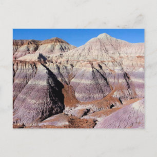 Postal Parque nacional Bosque Petrificado del desierto pi