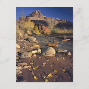 Postal PARQUE NACIONAL CAPITOL REEF, UT, EE. UU., Algodón