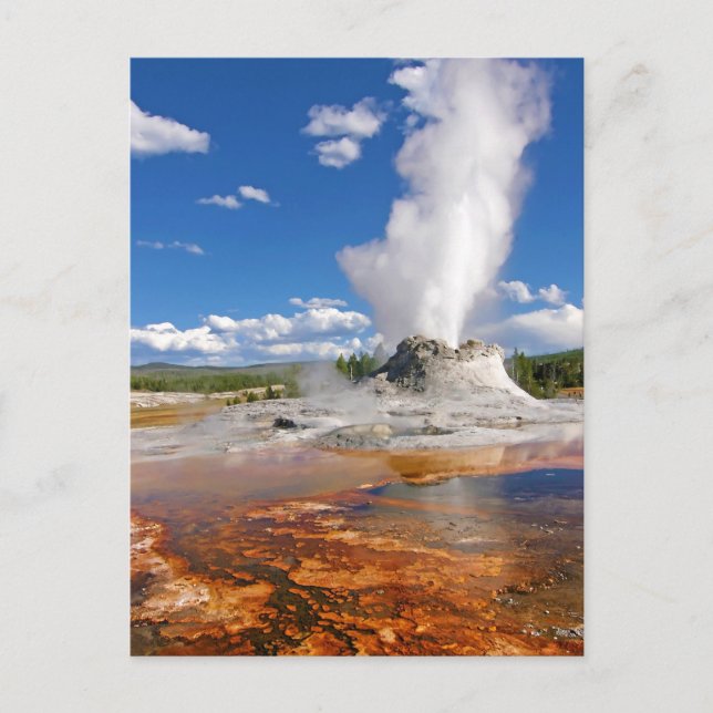 Postal Parque nacional Castle Geyser Eruption Yellowstone (Anverso)