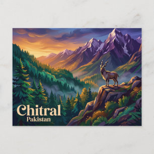 Postal Parque Nacional Chitral Gol Pakistán