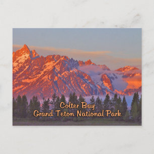 Postal Parque nacional Colter Bay Grand Teton