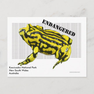 Postal Parque nacional Corroboree Frog Kosciuszko